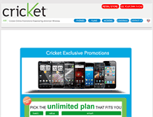 Tablet Screenshot of dckricket.com